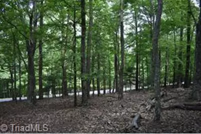 71 Grandview Drive, Traphill, NC 28685 - Photo 9