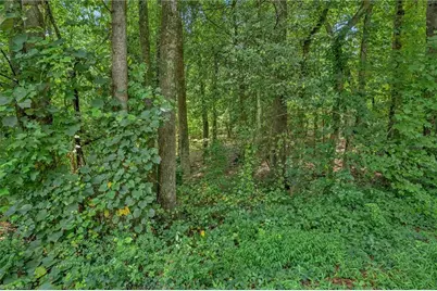 Tbd Raven Oak Drive, Wilkesboro, NC 28697 - Photo 9
