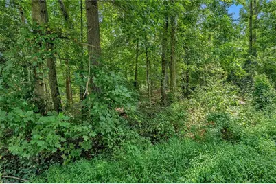 Tbd Raven Oak Drive, Wilkesboro, NC 28697 - Photo 5