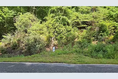 0 Cane Creek Church Road, McGrady, NC 28649 - Photo 3