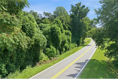 4042 White Level Road, Mebane, NC 27302 - Photo 5