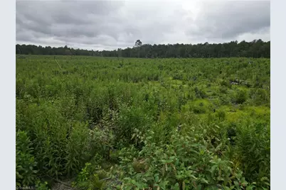 3950 Shiptontown Road, Lexington, NC 27292 - Photo 21