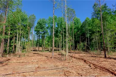 0 Carson Road, Cleveland, NC 27013 - Photo 3