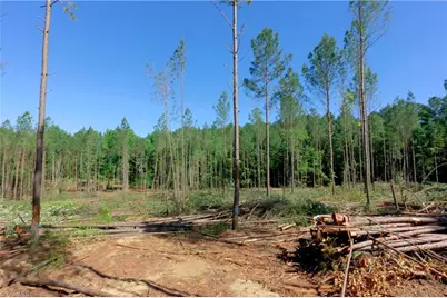 0 Carson Road, Cleveland, NC 27013 - Photo 7