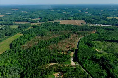 0 Carson Road, Cleveland, NC 27013 - Photo 9