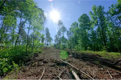 0 Carson Road, Cleveland, NC 27013 - Photo 11
