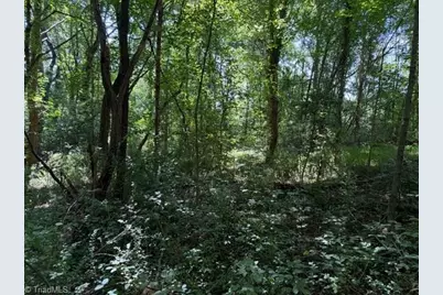 0 S Mineral Springs Drive, Jonesville, NC 28642 - Photo 5