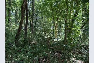 0 S Mineral Springs Drive, Jonesville, NC 28642 - Photo 3