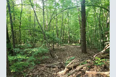 0 River Bluff Farms Road, Tobaccoville, NC 27050 - Photo 21