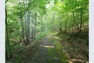0 River Bluff Farms Road, Tobaccoville, NC 27050 - Photo 19