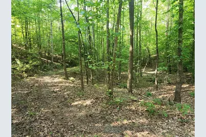 0 River Bluff Farms Road, Tobaccoville, NC 27050 - Photo 15