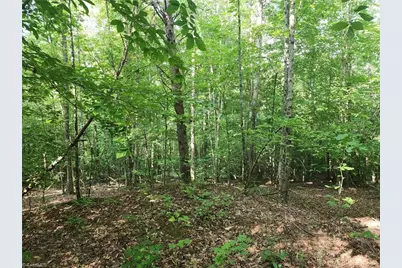 0 River Bluff Farms Road, Tobaccoville, NC 27050 - Photo 27