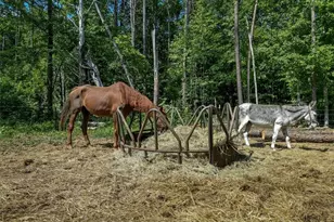 753 Ned Marsh Rd, Salisbury, NC 28146 - Photo 43