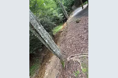 910 Hanks Street, Traphill, NC 28685 - Photo 29