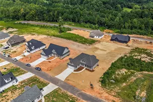 174 Cool Run, Lexington, NC 27295 - Photo 43
