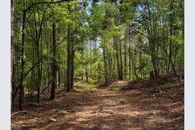 0 Jennings Road, Randleman, NC 27317 - Photo 27