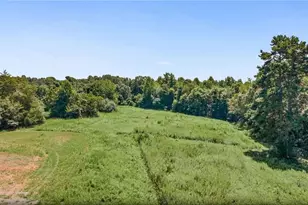 113 Kudzu Creek Trail, Siloam, NC 27047 - Photo 35