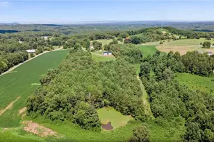 113 Kudzu Creek Trail, Siloam, NC 27047 - Photo 43