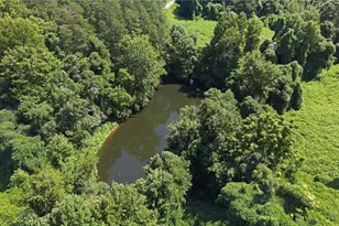 113 Kudzu Creek Trail, Siloam, NC 27047 - Photo 39