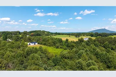 113 Kudzu Creek Trail, Siloam, NC 27047 - Photo 49