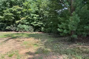 Lot 119 Rich Pine Dr, Purlear, NC 28665 - Photo 1