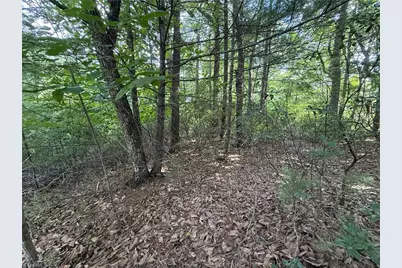 Lot 119 Rich Pine Drive, Purlear, NC 28665 - Photo 5