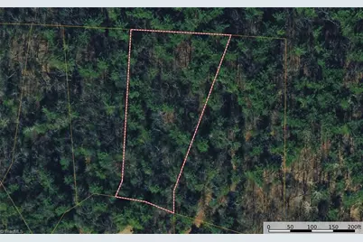 Lot 119 Rich Pine Drive, Purlear, NC 28665 - Photo 11