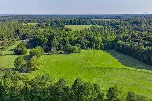 9791 Old Liberty Rd, Liberty, NC 27298 - Photo 39