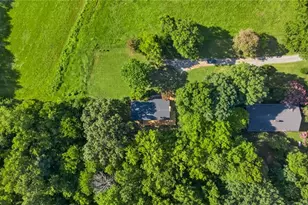 9791 Old Liberty Rd, Liberty, NC 27298 - Photo 43