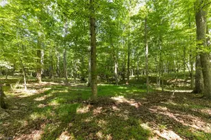 220 Collins Rd, Elkin, NC 28621 - Photo 37