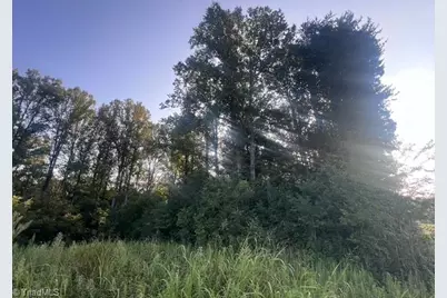 0 Mount Bethel Church Road, East Bend, NC 27018 - Photo 13