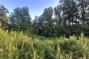 0 Mount Bethel Church Rd, East Bend, NC 27018 - Photo 1