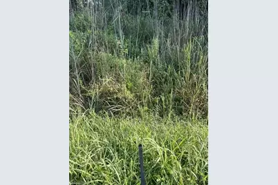 0 Mount Bethel Church Road, East Bend, NC 27018 - Photo 5