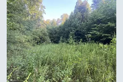 0 Mount Bethel Church Road, East Bend, NC 27018 - Photo 15