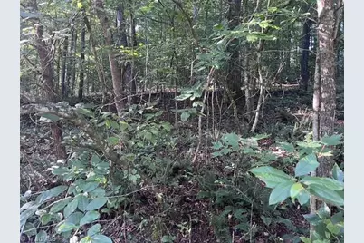 0 Mount Bethel Church Road, East Bend, NC 27018 - Photo 25