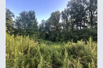 0 Mount Bethel Church Road, East Bend, NC 27018 - Photo 7