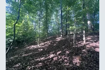 0 Mount Bethel Church Road, East Bend, NC 27018 - Photo 17