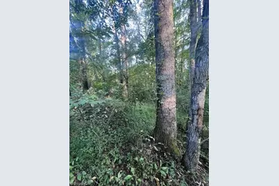0 Mount Bethel Church Road, East Bend, NC 27018 - Photo 5