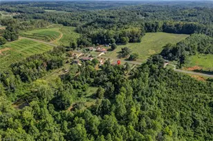 2036 Camp Springs Rd, Reidsville, NC 27320 - Photo 47