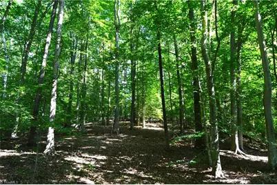 338-278 Hancock Road, Reidsville, NC 27320 - Photo 5