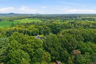 212 Circle Dr, Dobson, NC 27017 - Photo 33
