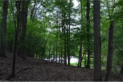 2122 Cherokee Camp Road, Reidsville, NC 27320 - Photo 15
