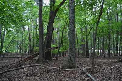 2122 Cherokee Camp Road, Reidsville, NC 27320 - Photo 13