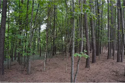 2122 Cherokee Camp Road, Reidsville, NC 27320 - Photo 17
