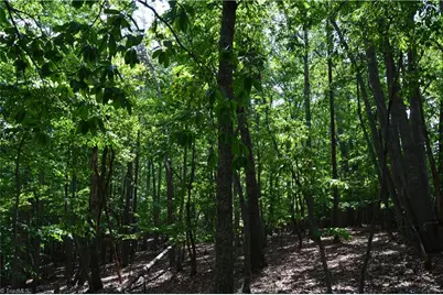 2122 Cherokee Camp Road, Reidsville, NC 27320 - Photo 11