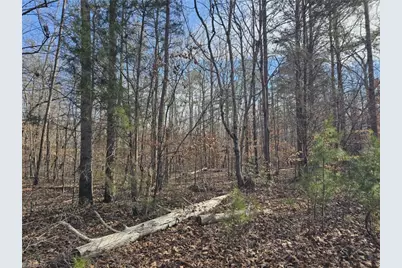 280 Clara Hill Lane, Lexington, NC 27292 - Photo 3