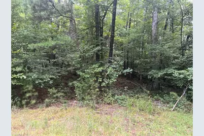 1170 Timber Ridge Road, Westfield, NC 27053 - Photo 11