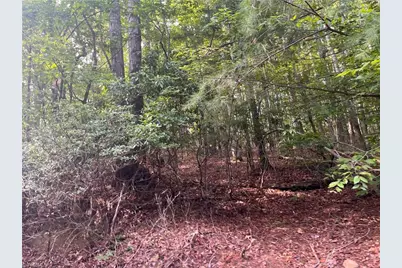1170 Timber Ridge Road, Westfield, NC 27053 - Photo 7