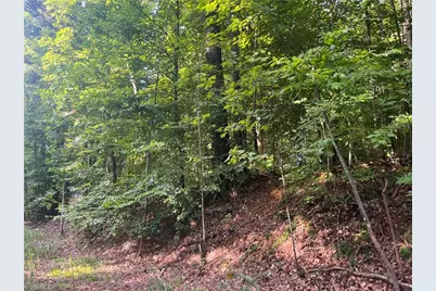 1170 Timber Ridge Road, Westfield, NC 27053 - Photo 3