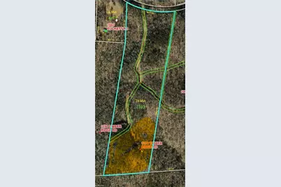 1170 Timber Ridge Road, Westfield, NC 27053 - Photo 19